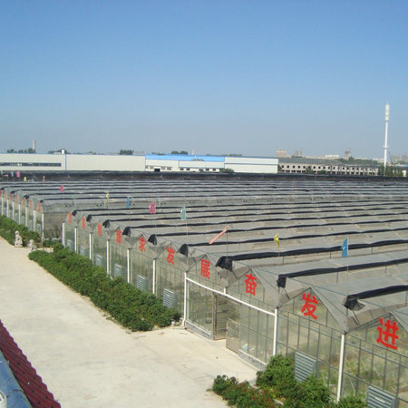 泰安市東岳衡器有限責(zé)任公司